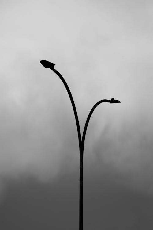 Silhouette of a Street Lamp
