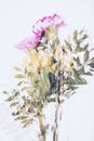 Pink and Yellow Flowers on White Table
