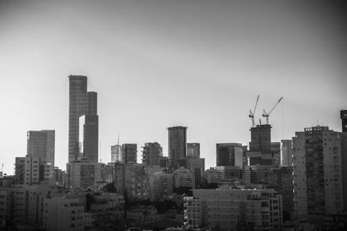 Free A Grayscale Photo of City Buildings Stock Photo