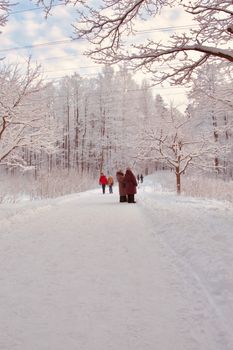 People walking along a snow-covered forest path in winter, surrounded by frosty trees.