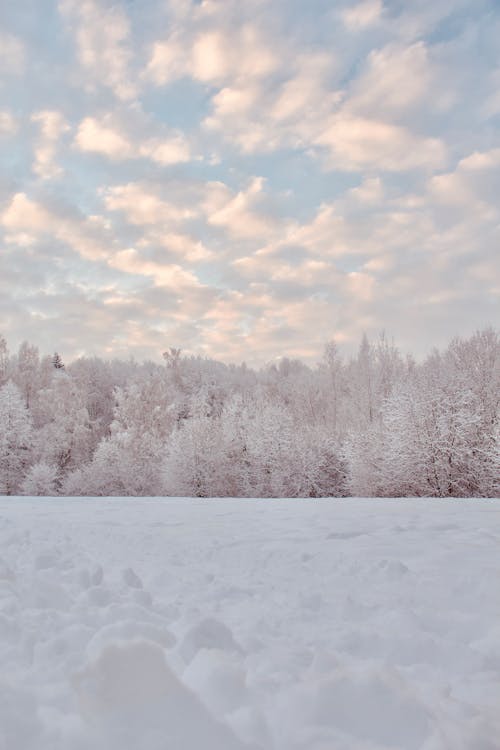 Fotobanka s bezplatnými fotkami na tému chladný, mraky, počasie