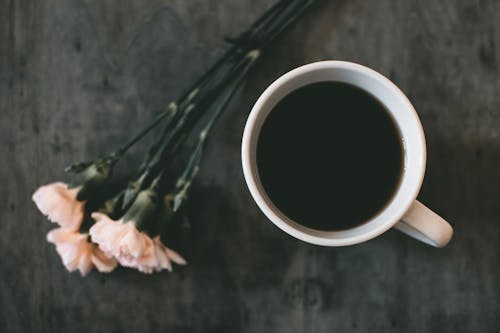 Tasse En Céramique Blanche à Côté De La Fleur Pétale Blanche