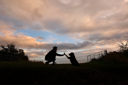 Free stock photo of bestfriends