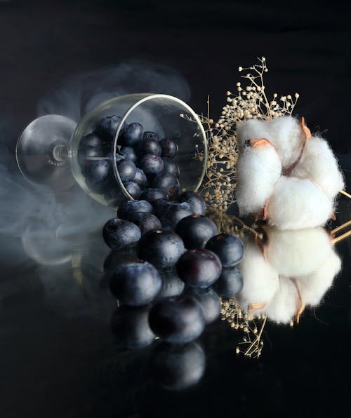 Composition of Blueberries Spilling Out of a Wineglass and Cotton Flowers 