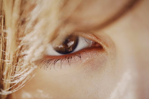 Darmowe zdjęcie z galerii z gałka oczna, irys, oko