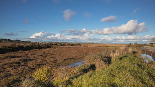 Grassland Under Blue Sky and White Clouds 