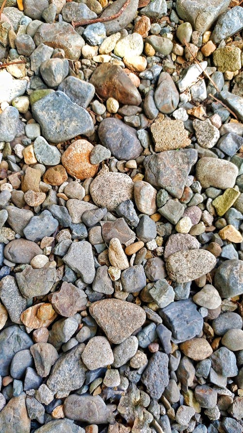 Close-up of Variety of Rocks 