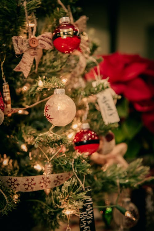 Gratis stockfoto met close-up shot, kerstboom, kerstlampen