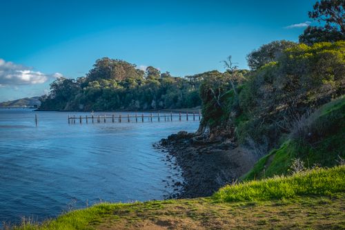 Free Peaceful coastal scene with lush greenery and a calm sea under a bright blue sky. Stock Photo