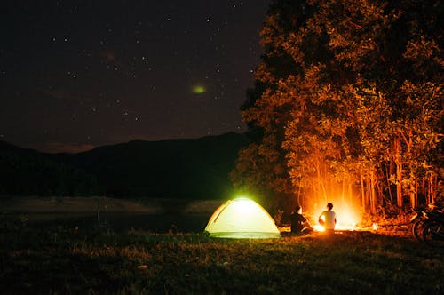 Free People Camping Near Trees during Night Time Stock Photo