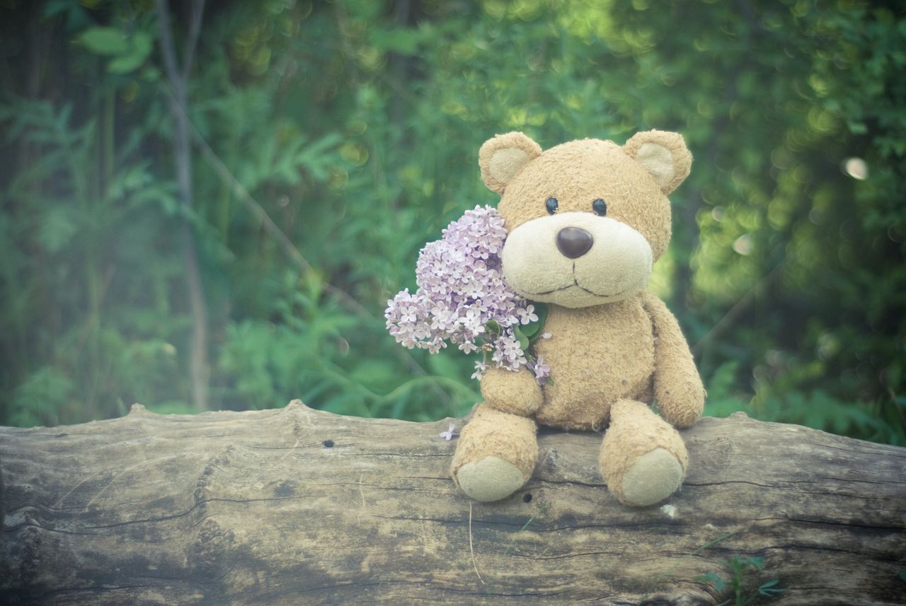 adorable teddy bear with lilac flowers on a log in a serene forest set