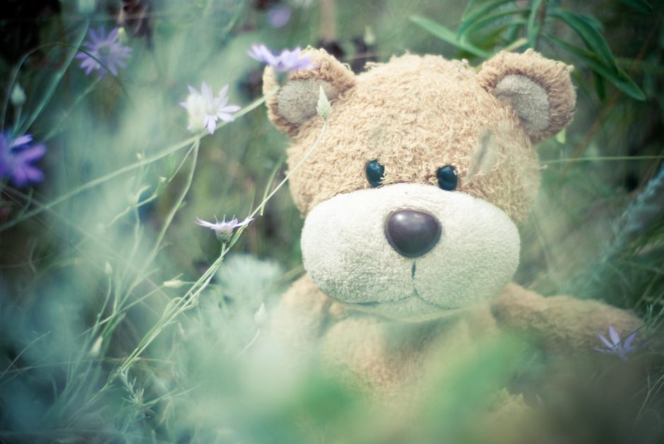 A plush teddy bear nestled in lush wildflowers creates a nostalgic, playful scene.