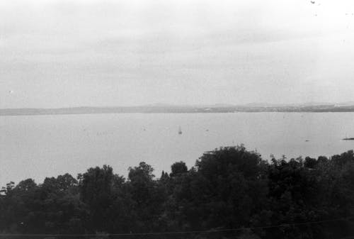 Darmowe zdjęcie z galerii z 35 mm, balaton, czarno-biały