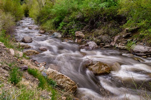 Photography of Creek