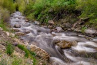 犹他州卡顿伍德高地的溪流蜿蜒流淌，四周环绕着郁郁葱葱的绿色植物