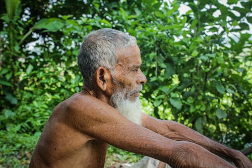 Foto d'estoc gratuïta de barbut, de perfil, enfocament poc profund