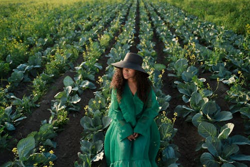 Free Woman in Green Dress and Wide Brim Hat Sitting in Cabbage Field Stock Photo