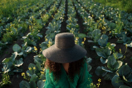 Woman in Hat Against Field of Cabbage