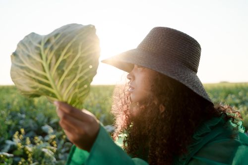 Free Portrait of a woman in a green dress and hat holding a cabbage leaf in a sunlit field. Stock Photo