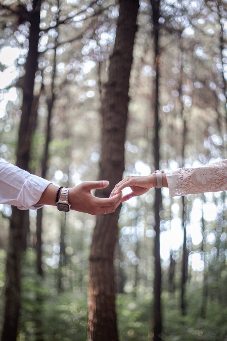 Male And Female Hands Touching In Forest