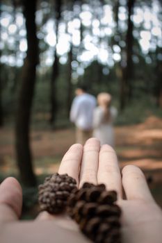 A blurred couple walks in a forest, focus on pine cones in hand.