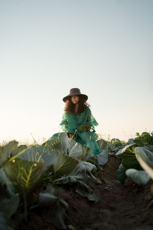 Free A woman in a green dress and wide-brim hat sits amongst cabbage fields under the open sky. Stock Photo