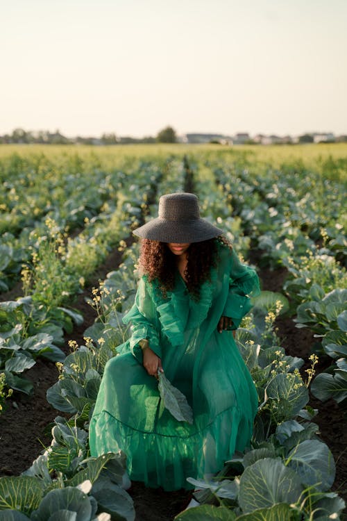 A Woman in Green Dress Sitting on Vegetable Crop Field