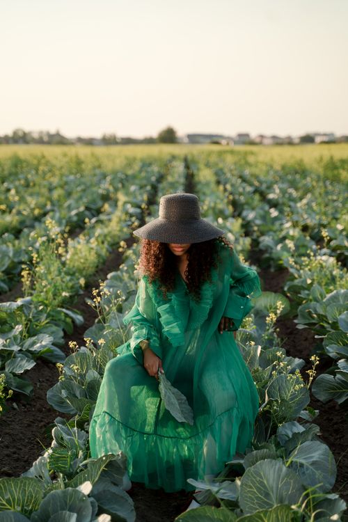 Free A woman in a green dress and wide-brim hat poses elegantly in a lush cabbage field at sunset. Stock Photo