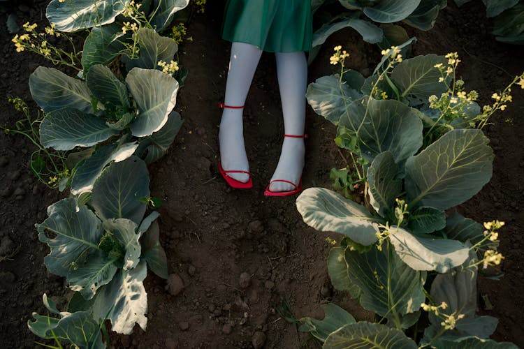 Legs In Red Shoes Of Unrecognizable Woman Laying In Agricultural Field