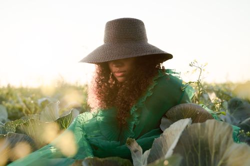 Free A woman in a green dress and straw hat sits in a cabbage field under the warm sunset light. Stock Photo
