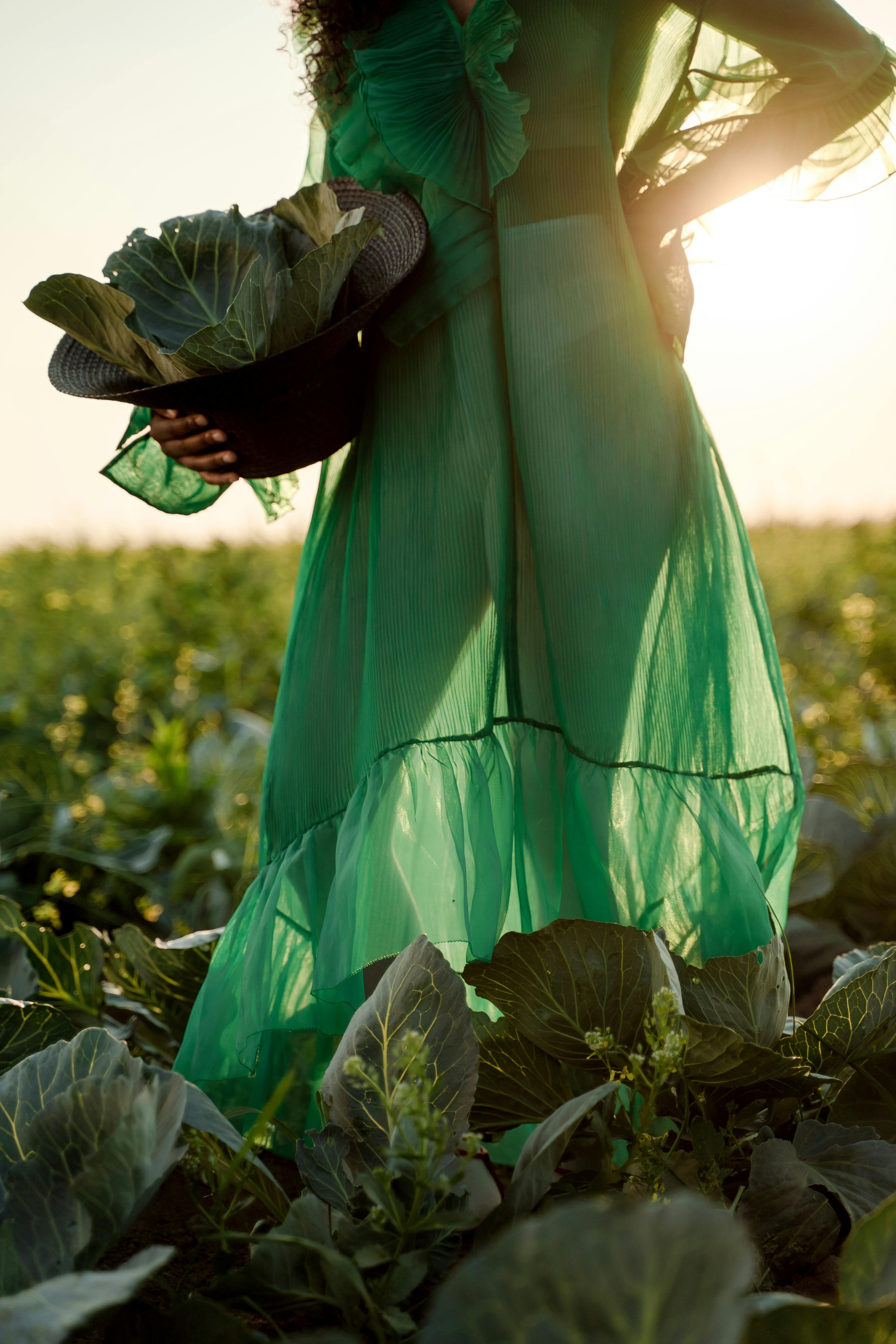 silhouette of unrecognizable woman wearing green dress and holding hat full of cabbage