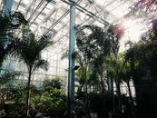 Green House