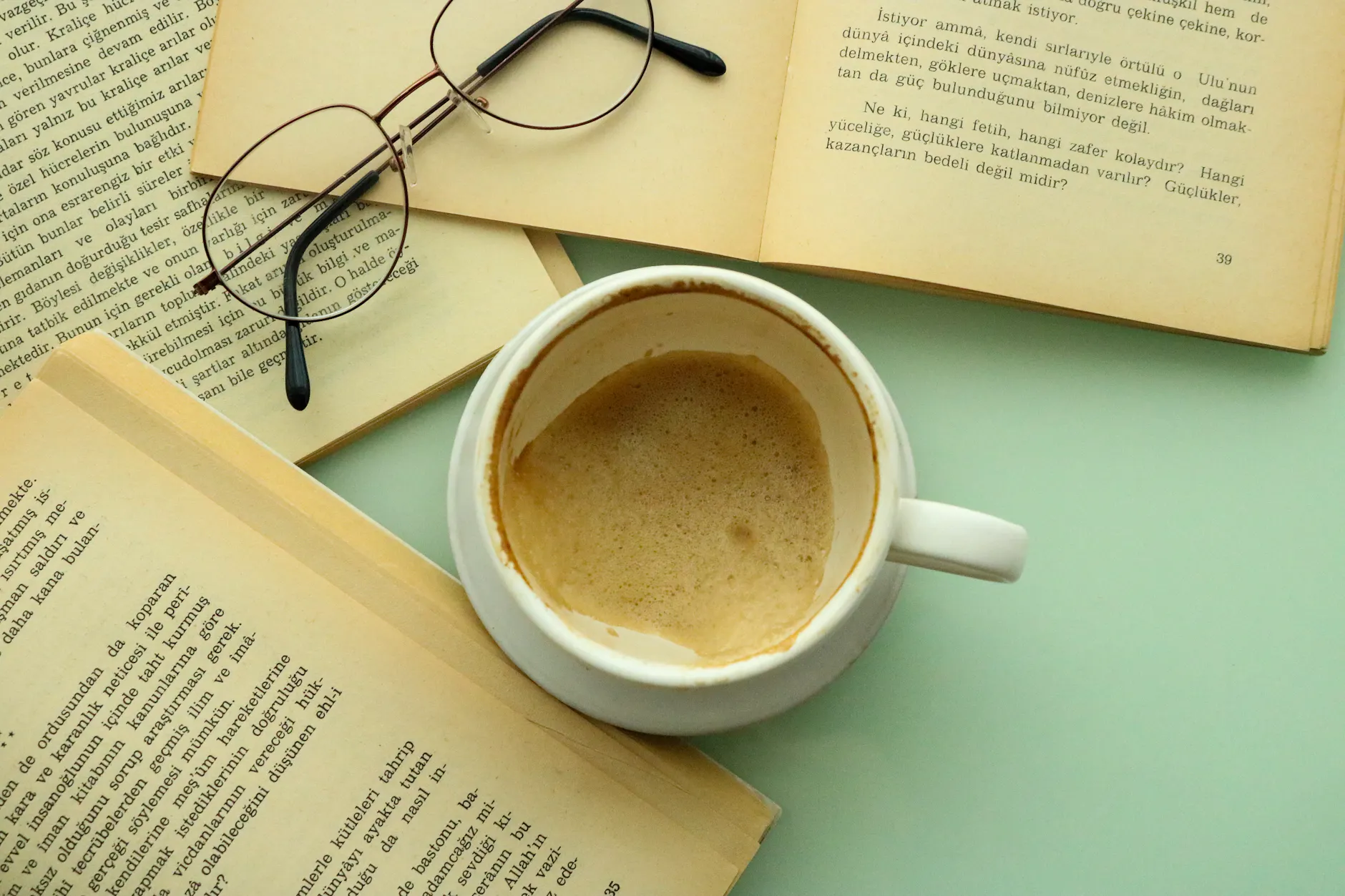 Reading the Universe: A Literary Analysis of Borges and Calvino's Philosophical Visions - Advance Book Readers