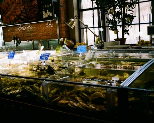 Clear Glass Seafood Display Counter