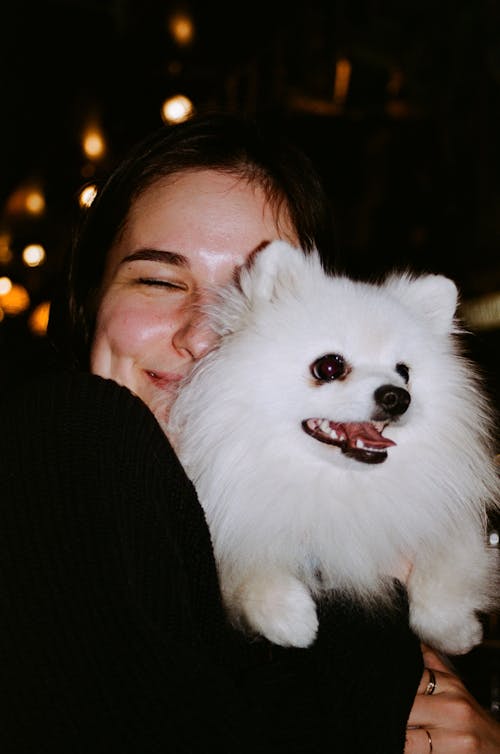 Foto profissional grátis de abraçando, alegre, animal de estimação