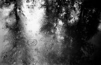 Black and White Abstract Painting