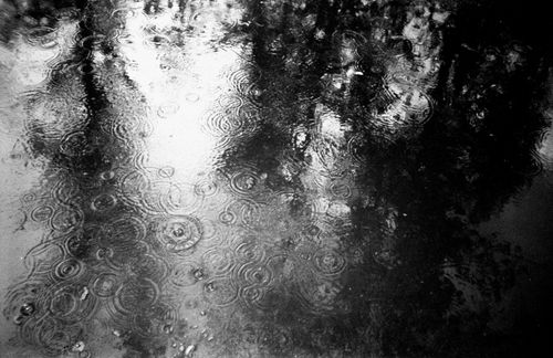 Free Black and white photo of raindrops creating ripples and reflections in a puddle. Stock Photo