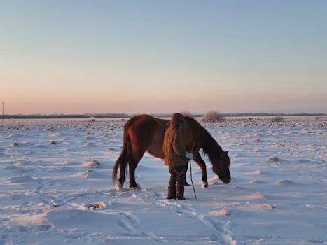 A person in winter attire stands with a horse on a snowy field during sunset.