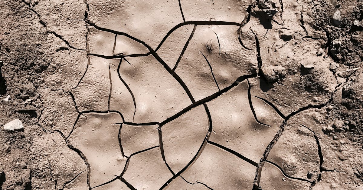 聯合國宣布加沙陷入饑荒 國際聲浪四起以色列強烈反駁