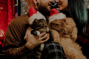 Man in Brown Long Sleeve Shirt Holding Cats with Santa Hats Beside a Woman