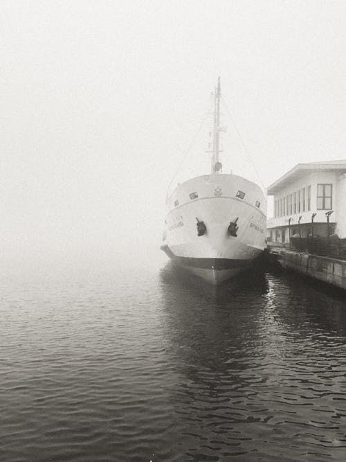 Foto d'estoc gratuïta de aigua, barca, blanc i negre