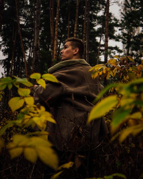 Free Man in Green Hoodie Standing in Forest Stock Photo