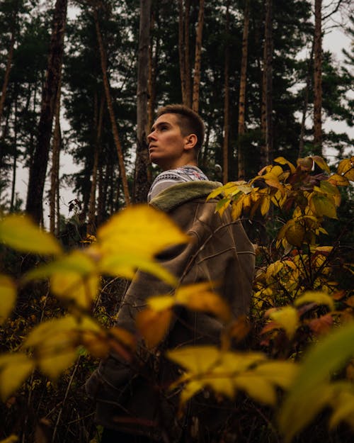 Free Man in Green Jacket Standing in Forest Stock Photo