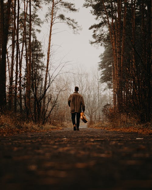Free Man in Forest Walking With Guitar Stock Photo