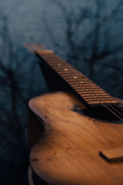 Free Guitar Standing in Forest Stock Photo