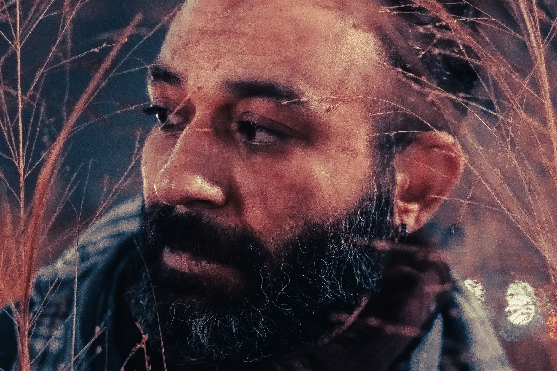 A thoughtful bearded man amidst wheat-like grass, captured in a moody Berlin evening.