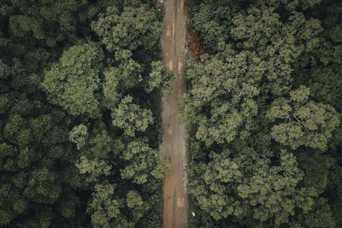 Free Aerial shot of a dirt road bisecting a lush green forest canopy, creating a natural contrast. Stock Photo