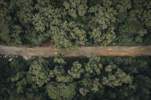 Free Drone shot of a dirt road winding through a dense forest, offering a top-down view of rural nature. Stock Photo