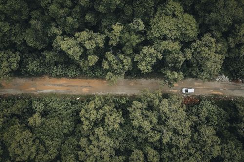 Free Drone captures a lone white car on a muddy road surrounded by a lush green forest from above. Stock Photo