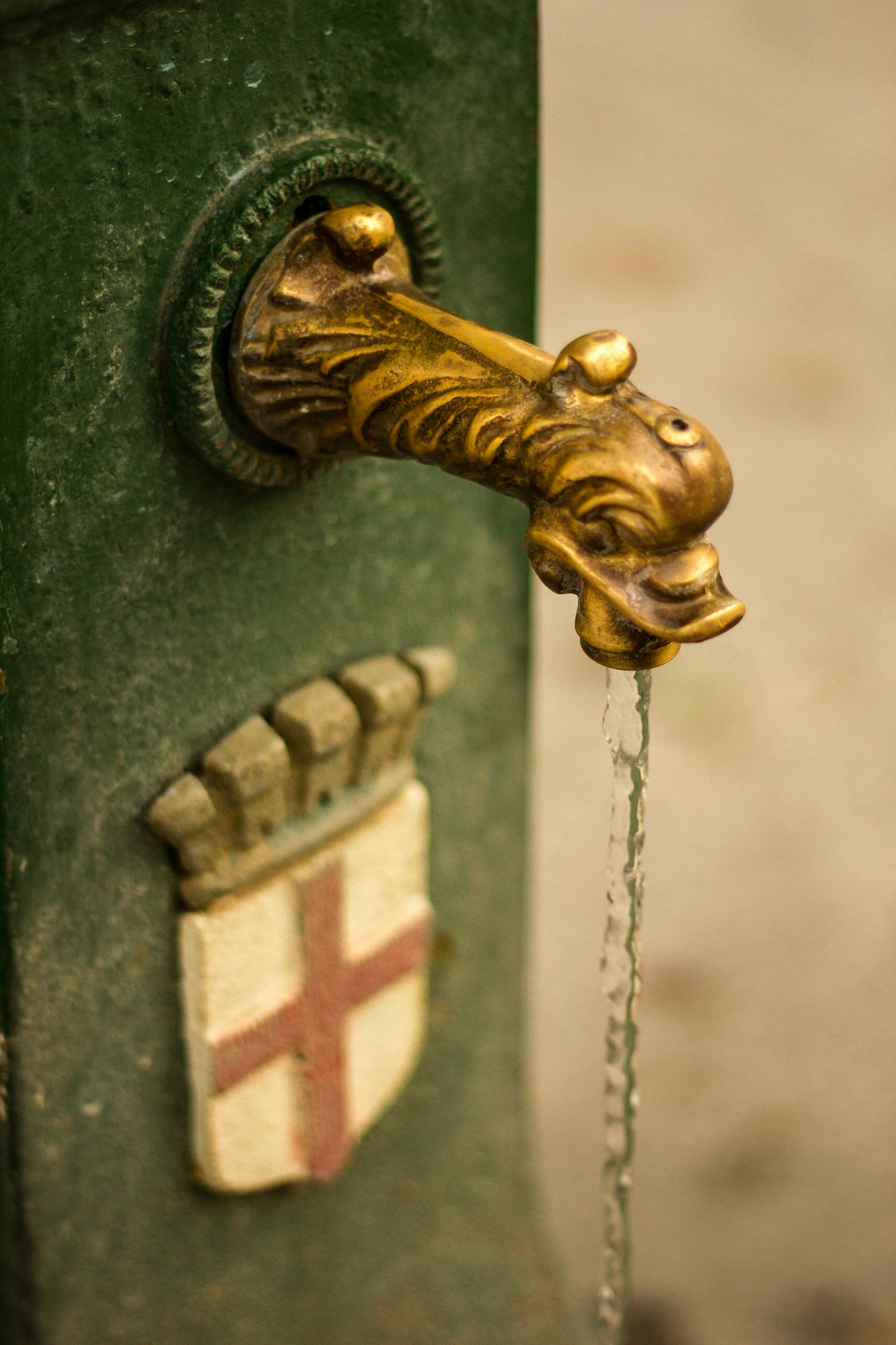 close up bronze dragon faucet